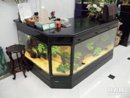 南山魚缸護理與寵物食品購買指南